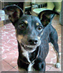 Name:  large.jpg
Views: 219
Size:  14.5 KB