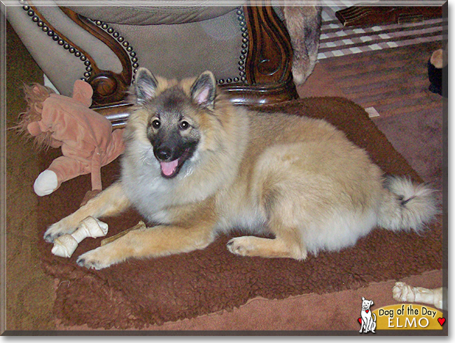 Name:  14.jpg
Views: 330
Size:  359.8 KB