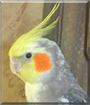 Name:  large.jpg
Views: 239
Size:  12.5 KB
