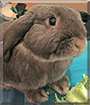 Name:  large.jpg
Views: 992
Size:  12.8 KB