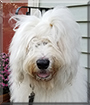 Name:  large.jpg
Views: 491
Size:  10.3 KB