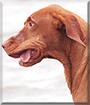 Name:  large.jpg
Views: 313
Size:  11.2 KB