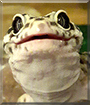 Name:  large.jpg
Views: 241
Size:  13.5 KB