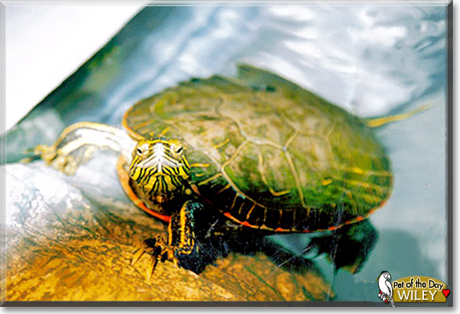Name:  10.jpg
Views: 359
Size:  196.6 KB
