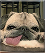 Name:  large.jpg
Views: 229
Size:  12.3 KB