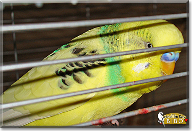 Name:  18.jpg
Views: 204
Size:  237.3 KB