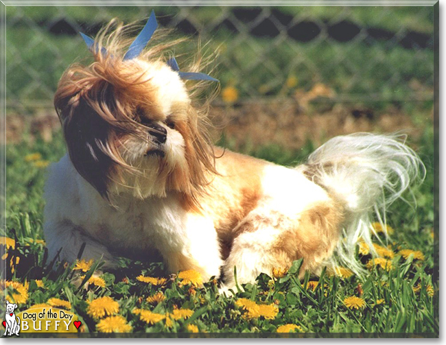 Name:  21 (1).jpg
Views: 205
Size:  268.3 KB