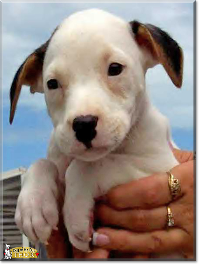Name:  22.jpg
Views: 160
Size:  205.4 KB