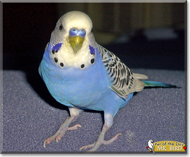 Name:  25 (1).jpg
Views: 196
Size:  324.9 KB