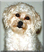Name:  large (1).jpg
Views: 236
Size:  13.1 KB
