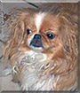 Name:  large.jpg
Views: 279
Size:  6.5 KB