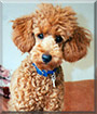 Name:  large.jpg
Views: 174
Size:  7.6 KB
