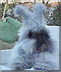 Name:  large (1).jpg
Views: 433
Size:  6.4 KB
