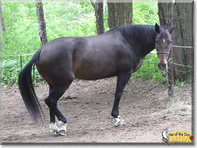 Name:  02.jpg
Views: 169
Size:  160.1 KB