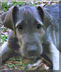 Name:  large (1).jpg
Views: 334
Size:  7.0 KB