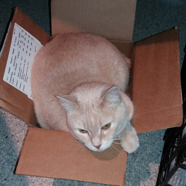 Name:  creambox.jpg
Views: 265
Size:  90.6 KB