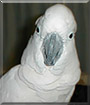 Name:  large (1).jpg
Views: 218
Size:  5.0 KB