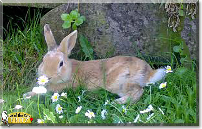 Name:  13.jpg
Views: 374
Size:  93.6 KB