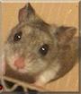 Name:  large.jpg
Views: 292
Size:  5.4 KB