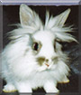 Name:  large (1).jpg
Views: 267
Size:  5.8 KB