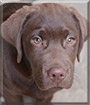 Name:  large (1).jpg
Views: 216
Size:  5.8 KB