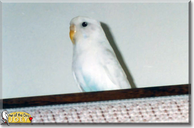 Name:  23.jpg
Views: 246
Size:  52.8 KB