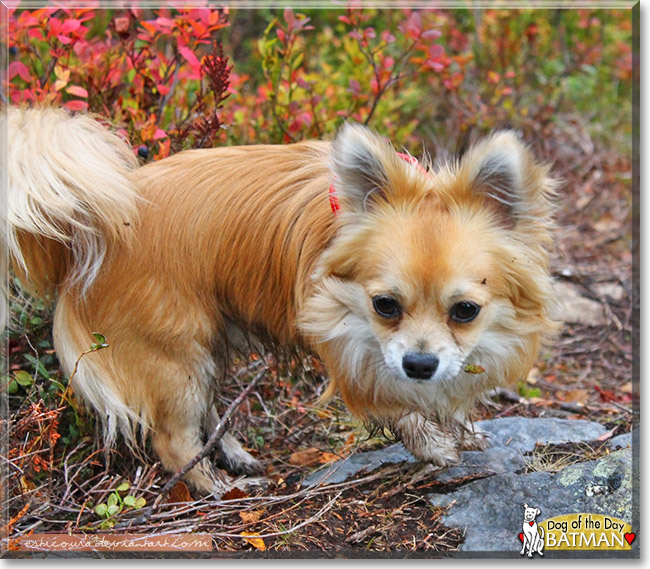 Name:  23 (1).jpg
Views: 253
Size:  165.1 KB