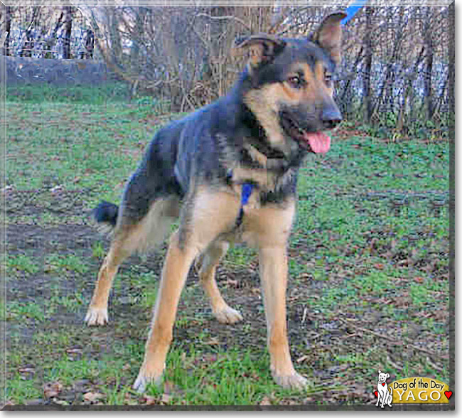 Name:  24 (1).jpg
Views: 152
Size:  161.6 KB