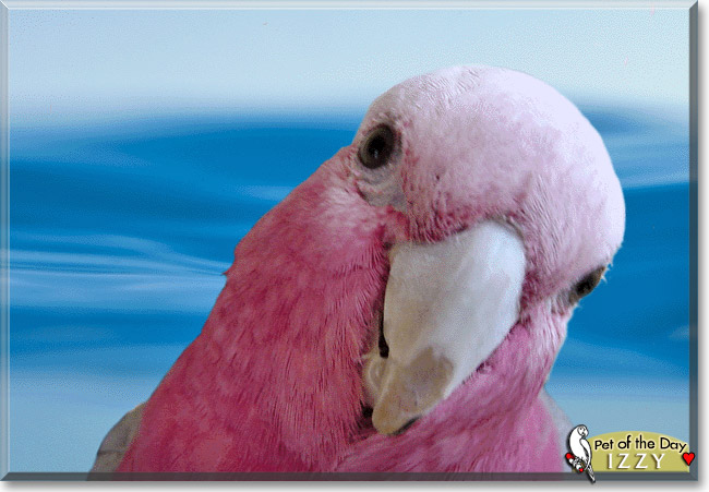 Name:  31 (1).jpg
Views: 151
Size:  84.7 KB