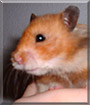 Name:  large.jpg
Views: 79
Size:  5.4 KB