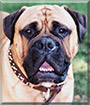 Name:  large.jpg
Views: 204
Size:  7.9 KB