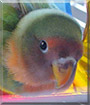 Name:  large (1).jpg
Views: 158
Size:  6.1 KB