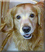 Name:  large.jpg
Views: 173
Size:  7.2 KB