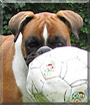 Name:  large (1).jpg
Views: 170
Size:  6.9 KB