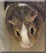 Name:  large (1).jpg
Views: 189
Size:  5.5 KB