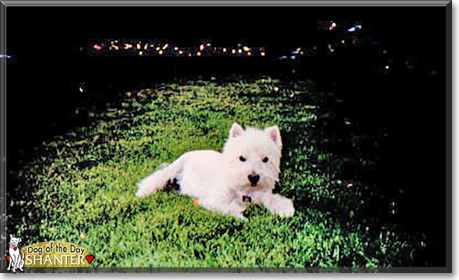 Name:  16.jpg
Views: 221
Size:  87.4 KB