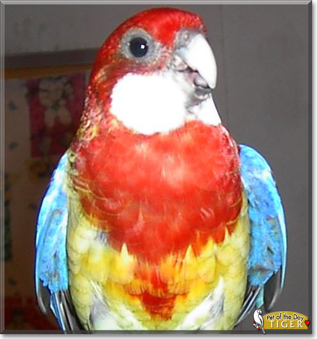 Name:  18.jpg
Views: 126
Size:  96.4 KB