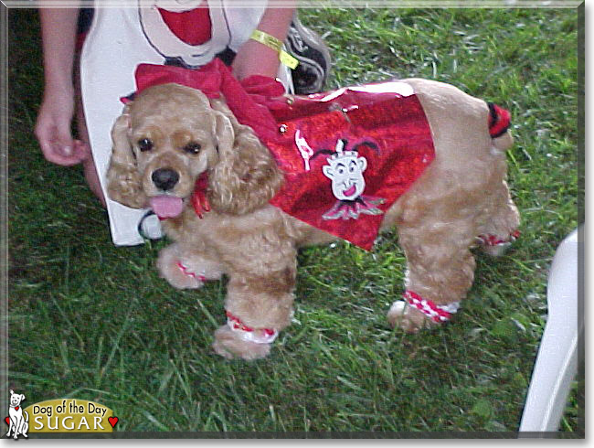 Name:  19 (1).jpg
Views: 207
Size:  124.4 KB