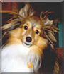 Name:  large (1).jpg
Views: 221
Size:  6.1 KB