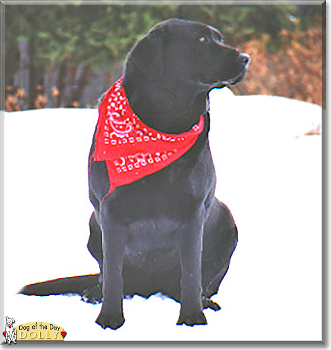 Name:  21 (1).jpg
Views: 231
Size:  86.6 KB