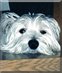 Name:  large.jpg
Views: 164
Size:  6.4 KB