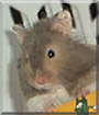 Name:  large (1).jpg
Views: 279
Size:  5.2 KB