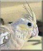 Name:  large.jpg
Views: 84
Size:  5.4 KB