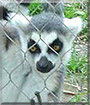 Name:  large.jpg
Views: 165
Size:  7.3 KB