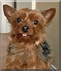 Name:  large (1).jpg
Views: 179
Size:  5.9 KB