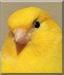 Name:  large.jpg
Views: 169
Size:  5.2 KB