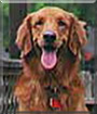 Name:  large (1).jpg
Views: 351
Size:  6.3 KB