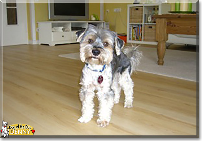 Name:  24.jpg
Views: 259
Size:  61.5 KB