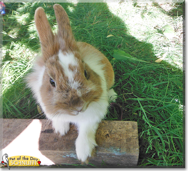 Name:  31.jpg
Views: 163
Size:  171.8 KB