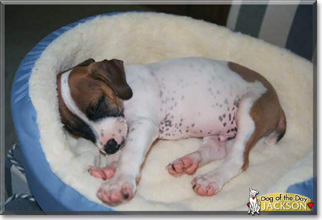 Name:  31 (1).jpg
Views: 168
Size:  58.8 KB